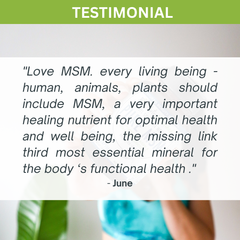 Pure MSM Capsules - Methyl Sulfonyl Methane - (660mg), 60 Vegan Capsules/1 Month